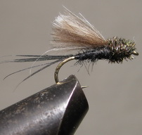 ���� CDC 04  caddis grey / peacock head � 12